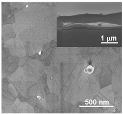 Preparation method of upright Au nanocone with high adhesion to surface of substrate