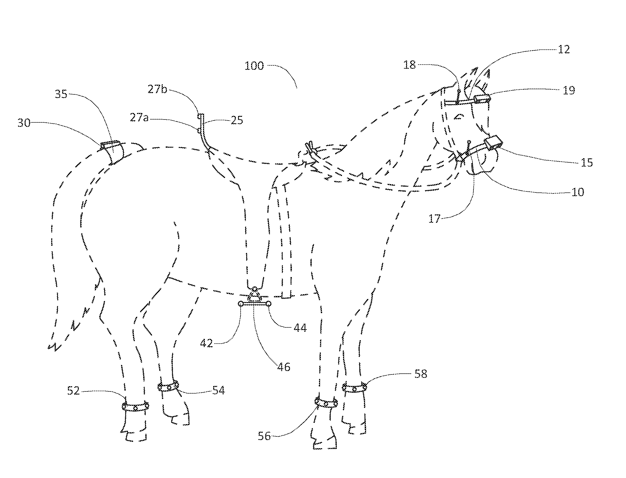 Equestrian light apparatus