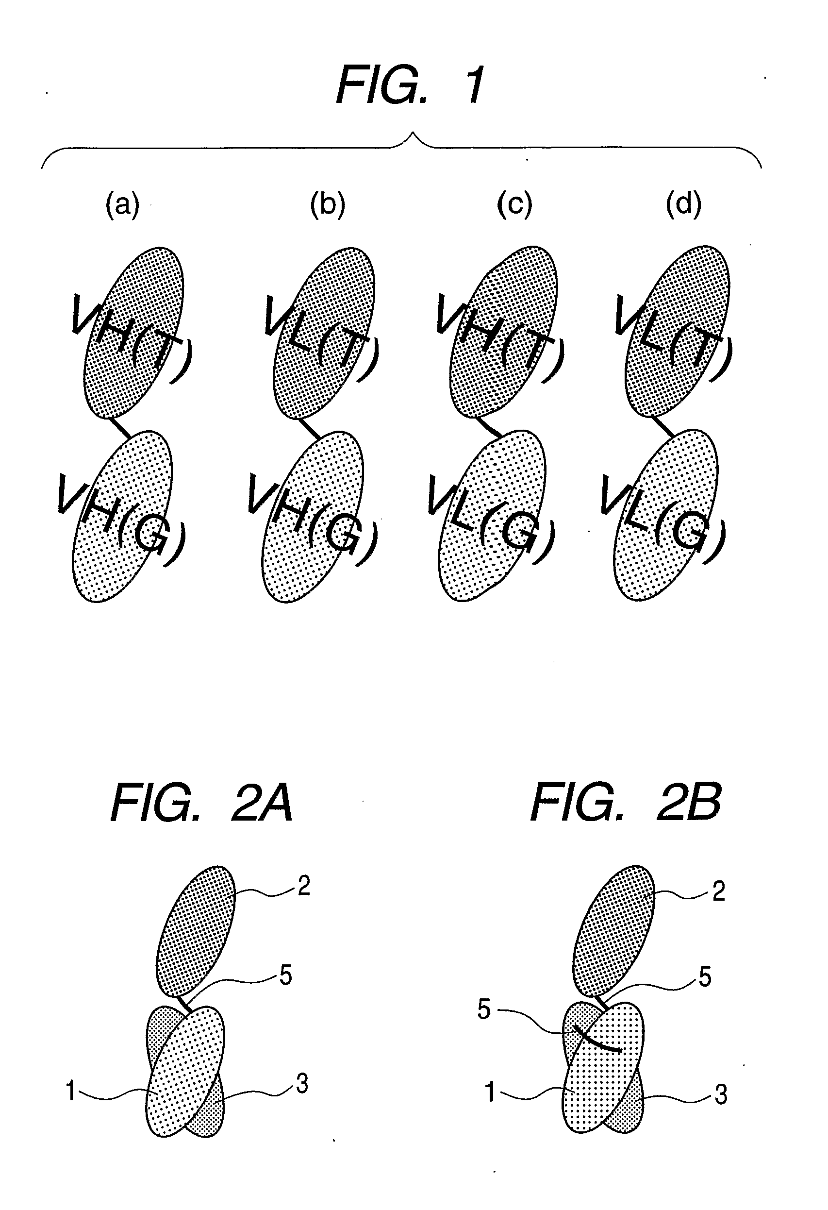 Gold-binding protein and use thereof