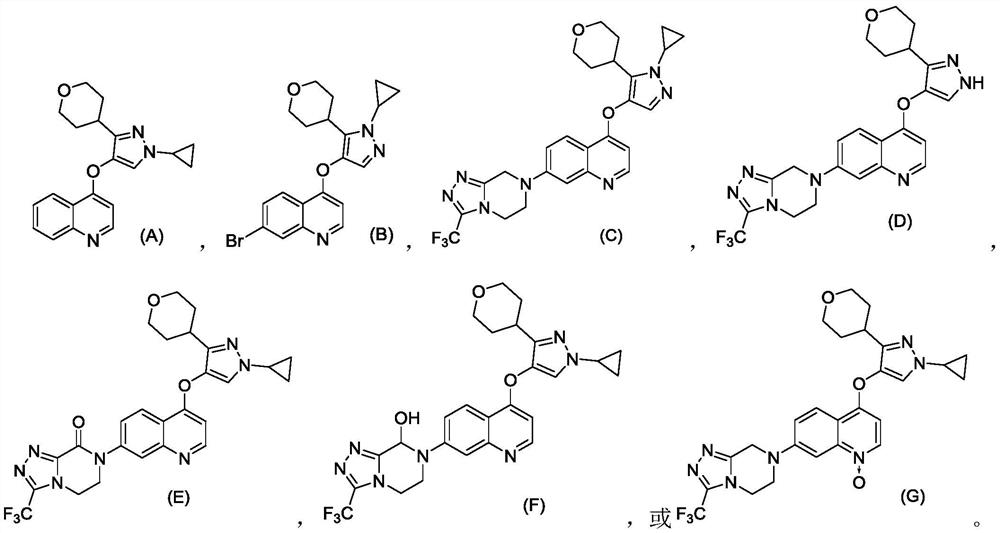 Quinoline compound as well as preparation method and application thereof