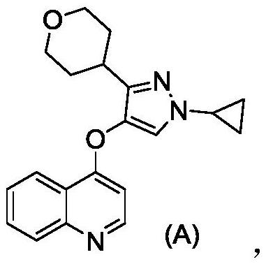 Quinoline compound as well as preparation method and application thereof