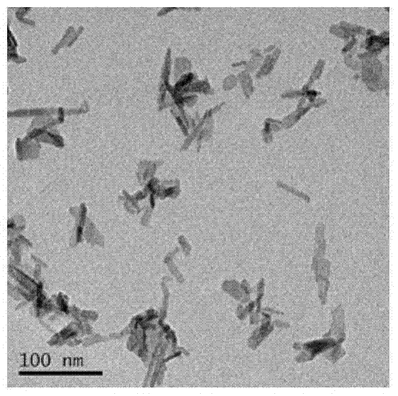 A kind of preparation method of oil-soluble hydroxyapatite nanosheet