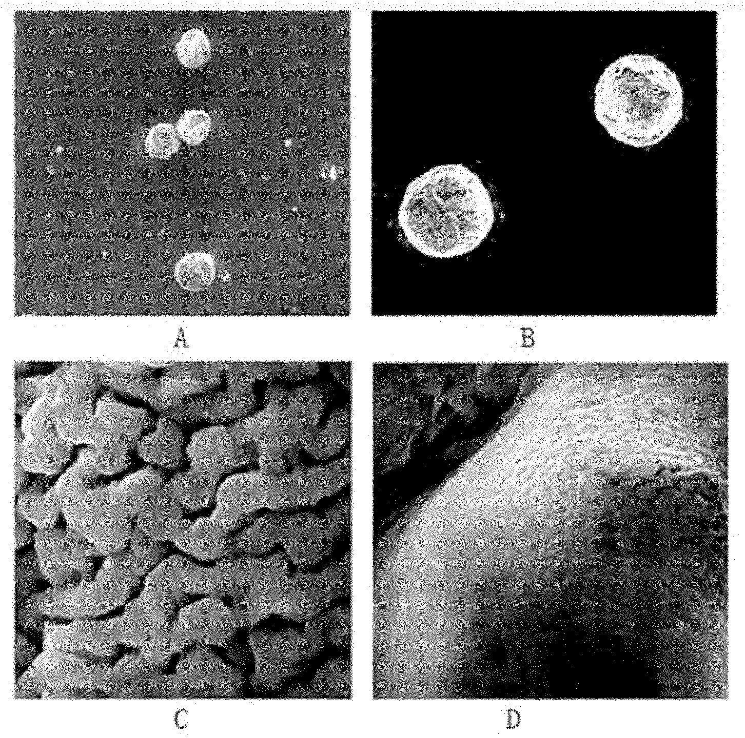 Self-expandable microgel pulse preparation with layer-by-layer assembled polyelectrolytes and preparation method thereof