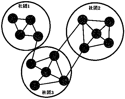 Animal geographical division method based on species spatial distribution relations