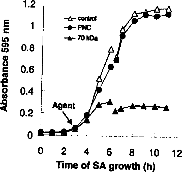 Artificial combined antistaphylococcus engineering multipeptide and its preparation method