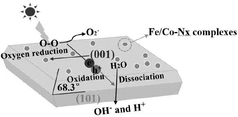 Fe/Co-Nx/TiO2 photocatalyst and preparation method and application thereof