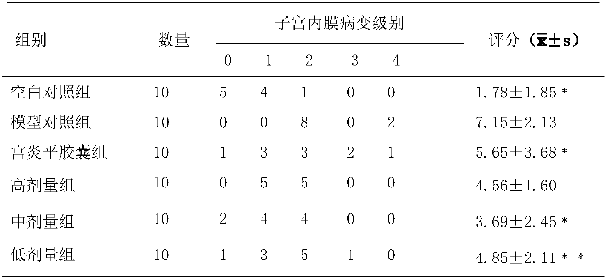 Extract for treating pelvic inflammation and preparation method thereof