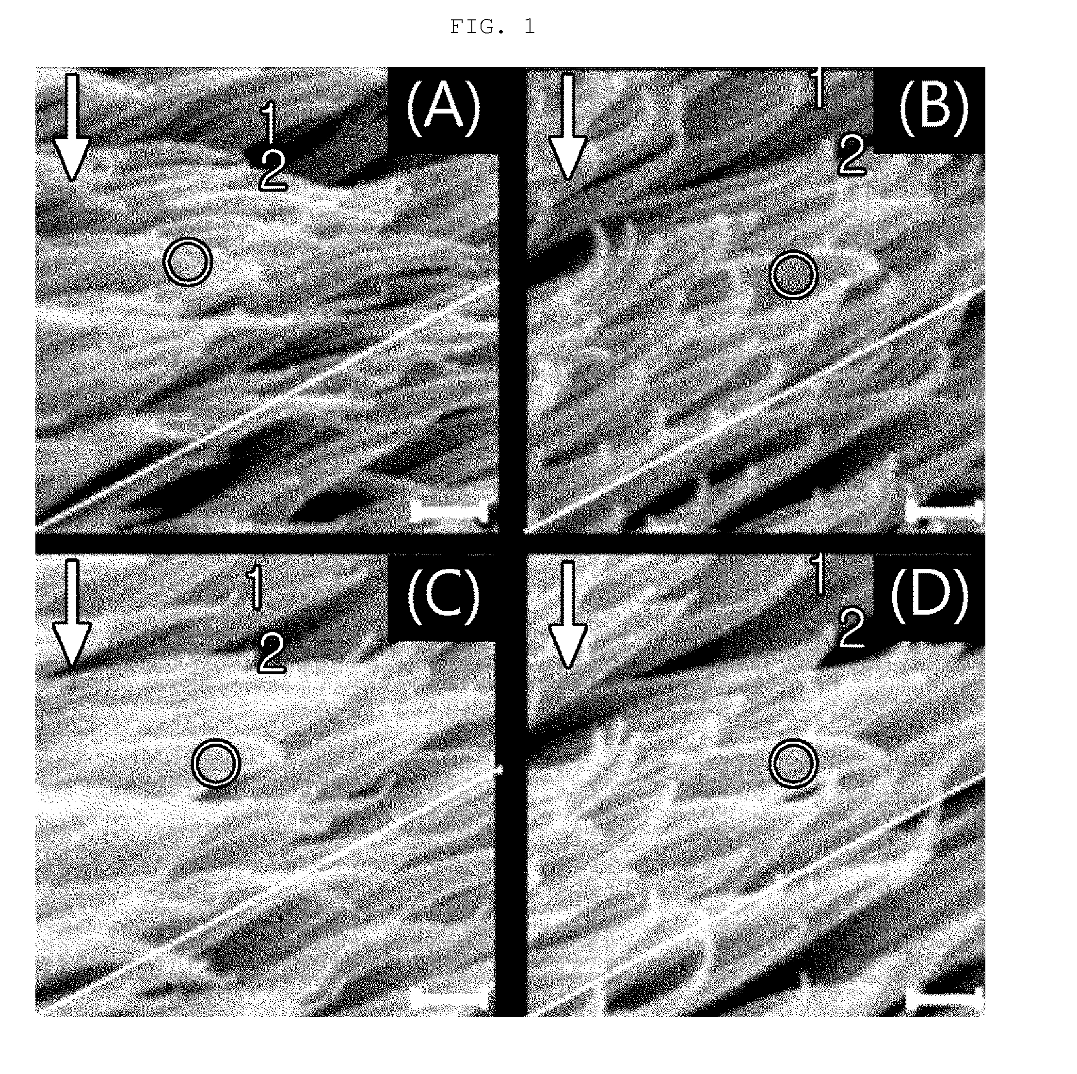 Movement-free bending method for one-dimensional or two-dimensional nanostructure using ion beam