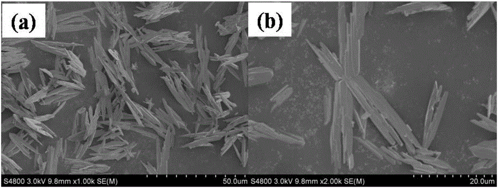 Monoclinic-phase BiVO4/GO (graphene oxide)/RGO (reduced graphene oxide) crystal and preparation method thereof