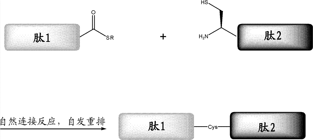 Protein preparation method