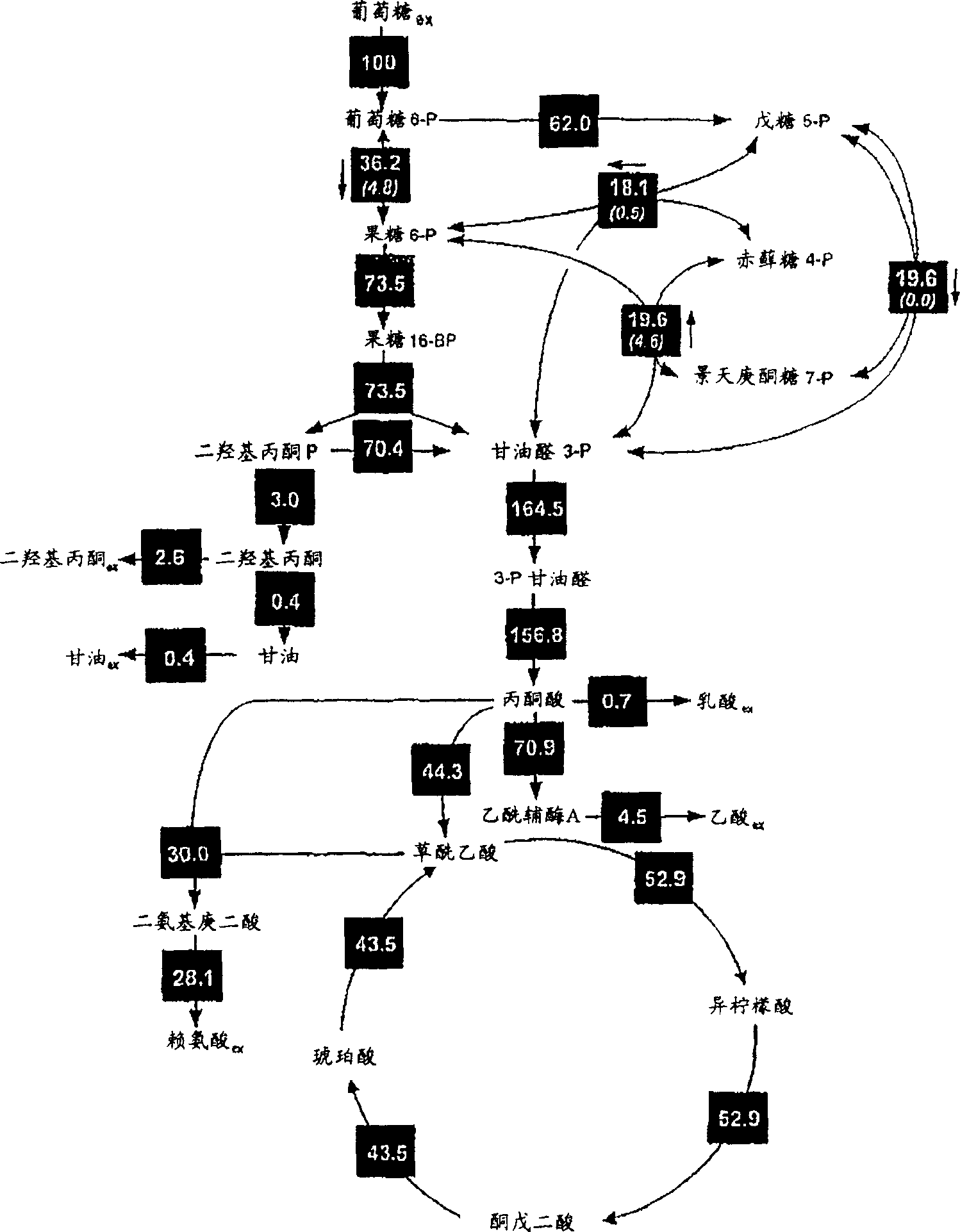 Methods for the preparation of a fine chemical by fermentation