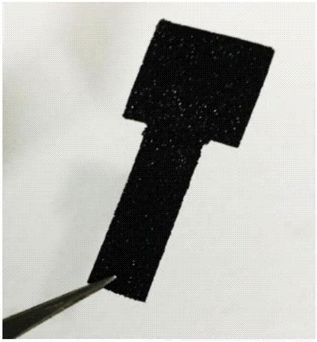 Nickel-and-molybdenum based bimetallic carbide loaded on nickel foam and preparation method and application thereof