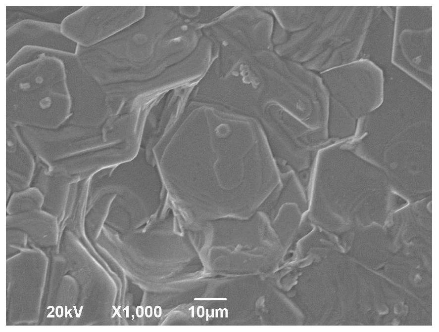 A method for preparing a self-oriented Z-type hexagonal ferrite substrate