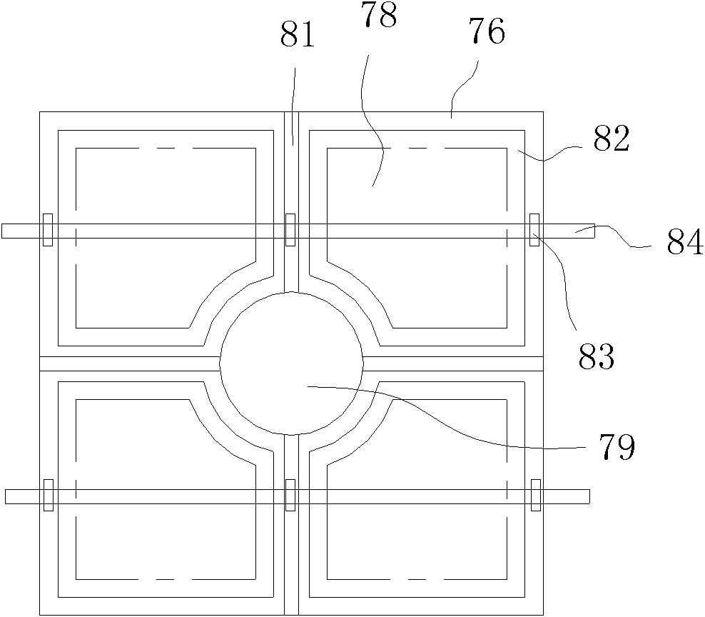 Heat-storing combustion apparatus and biomass gas heating system