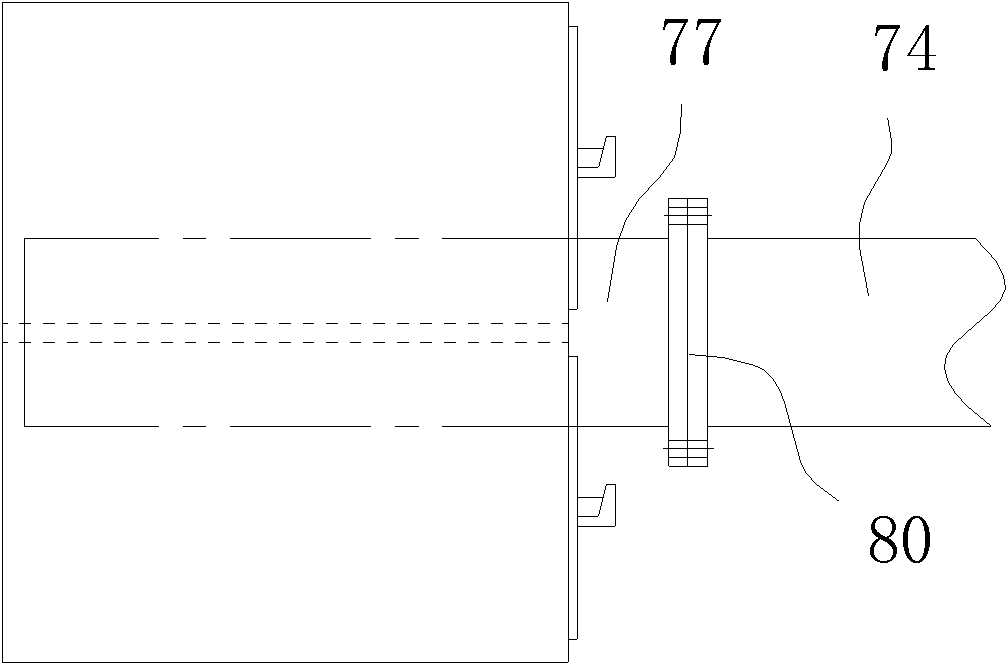 Heat-storing combustion apparatus and biomass gas heating system