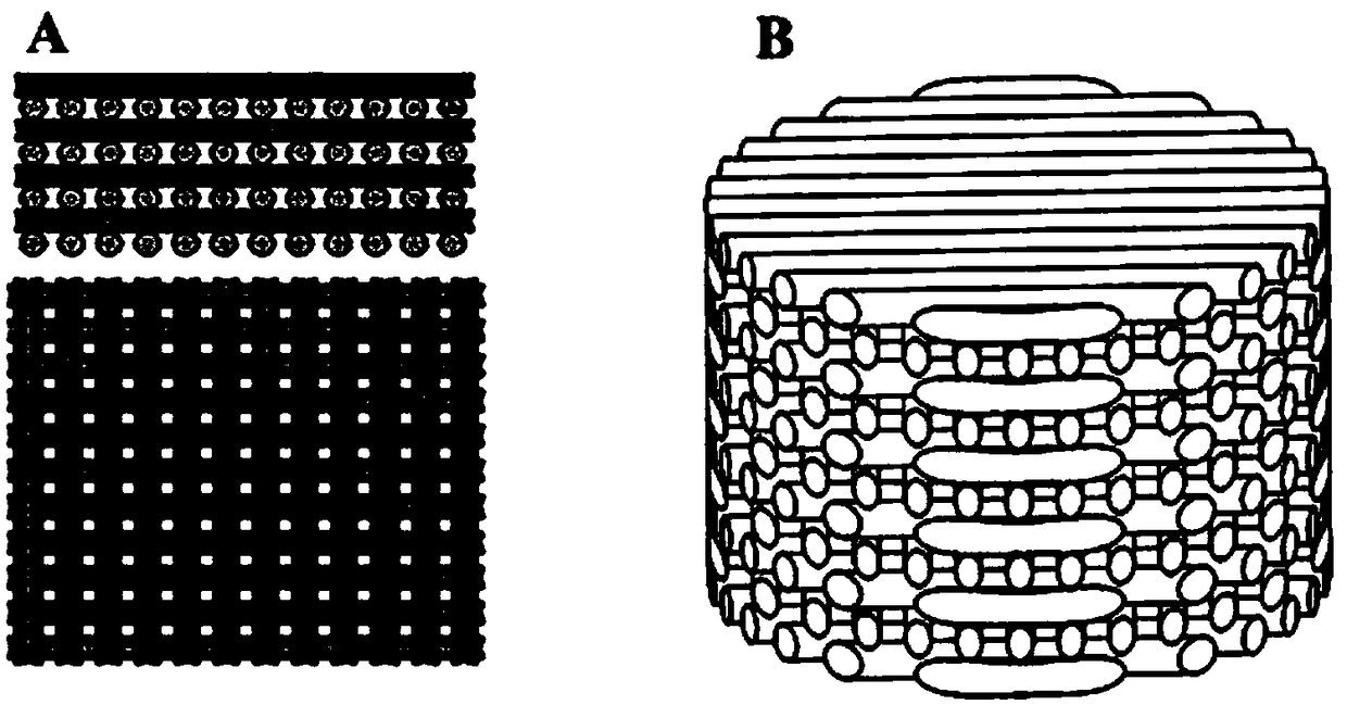 3D printed PCL-PDA-BMP2 bone tissue engineering scaffold and preparation method thereof