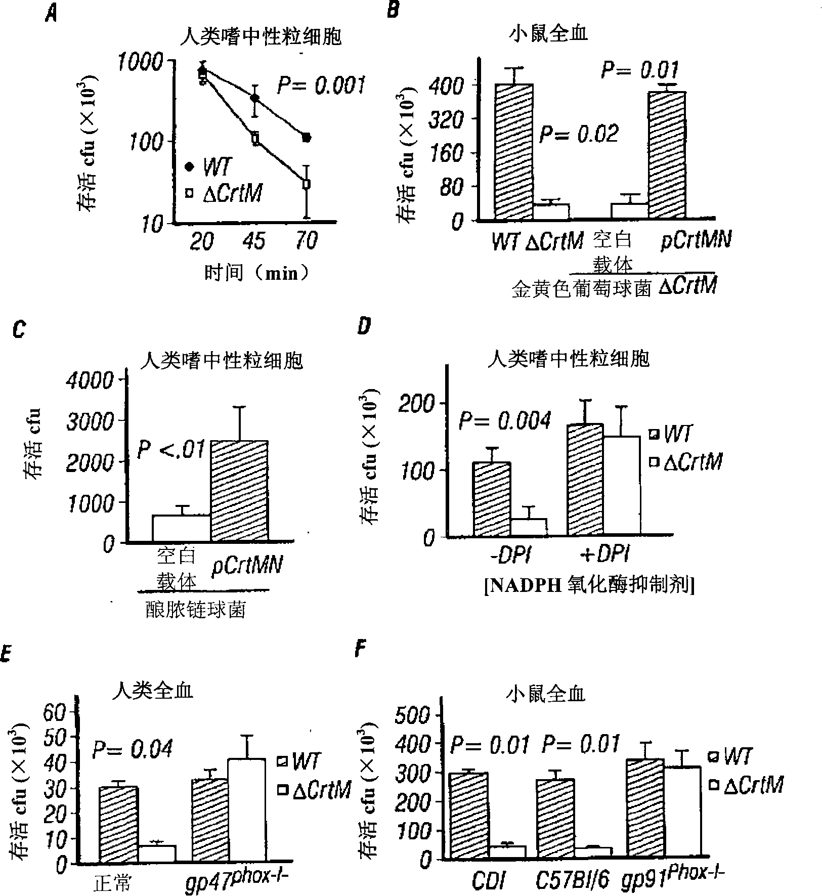 Antimicrobial therapy for bacterial infections