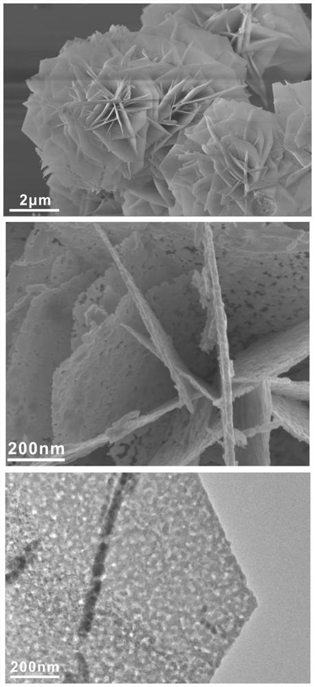 Sulfur-modified iron-cobalt oxide nanosheet Fenton-like catalyst as well as preparation method and use method thereof