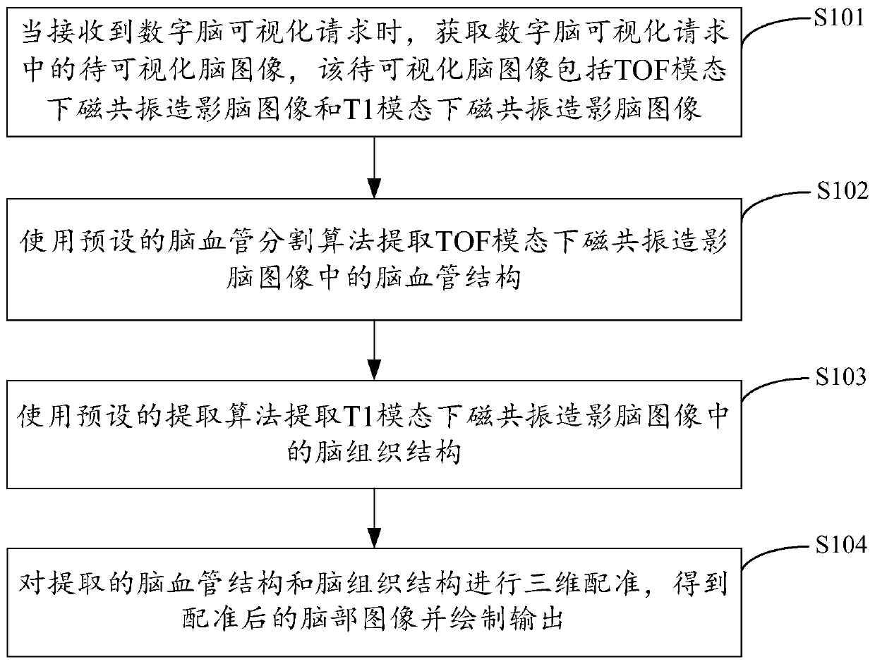 Digital brain visualization method, device, computing device and storage medium