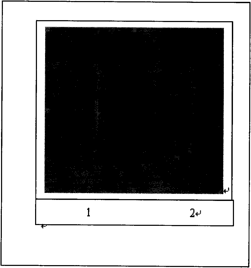 Porcine reproductive and respiratory syndrome virus RT-LAMP detection kit and detection method thereof