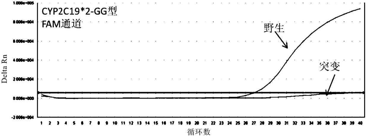 Method and kit for detecting CYP2C19 gene polymorphism