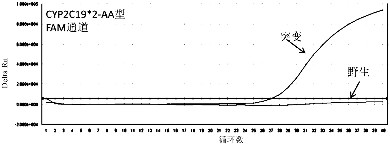 Method and kit for detecting CYP2C19 gene polymorphism