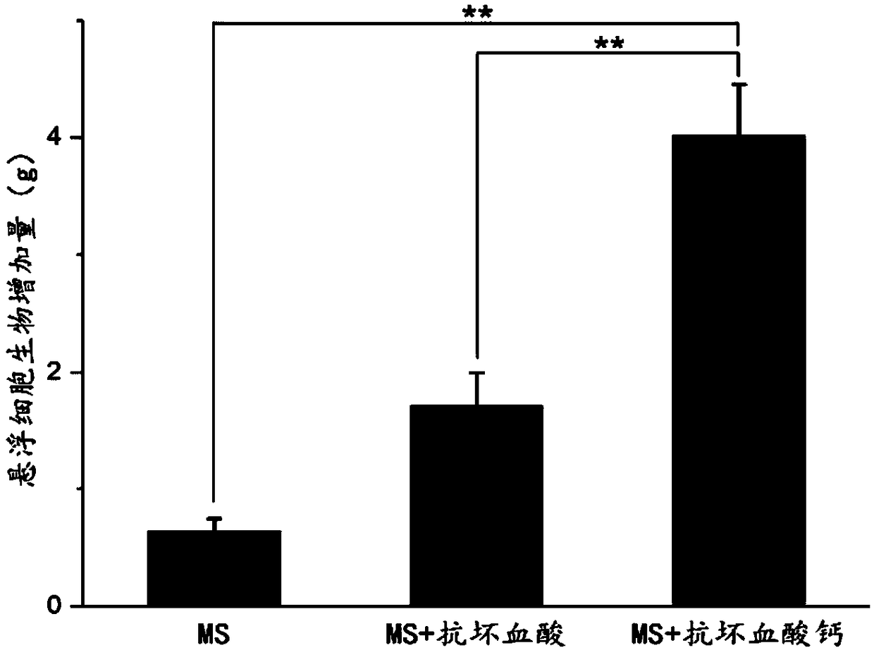 Method for inhibiting browning in glycyrrhiza glabra suspension cell culture process for long time