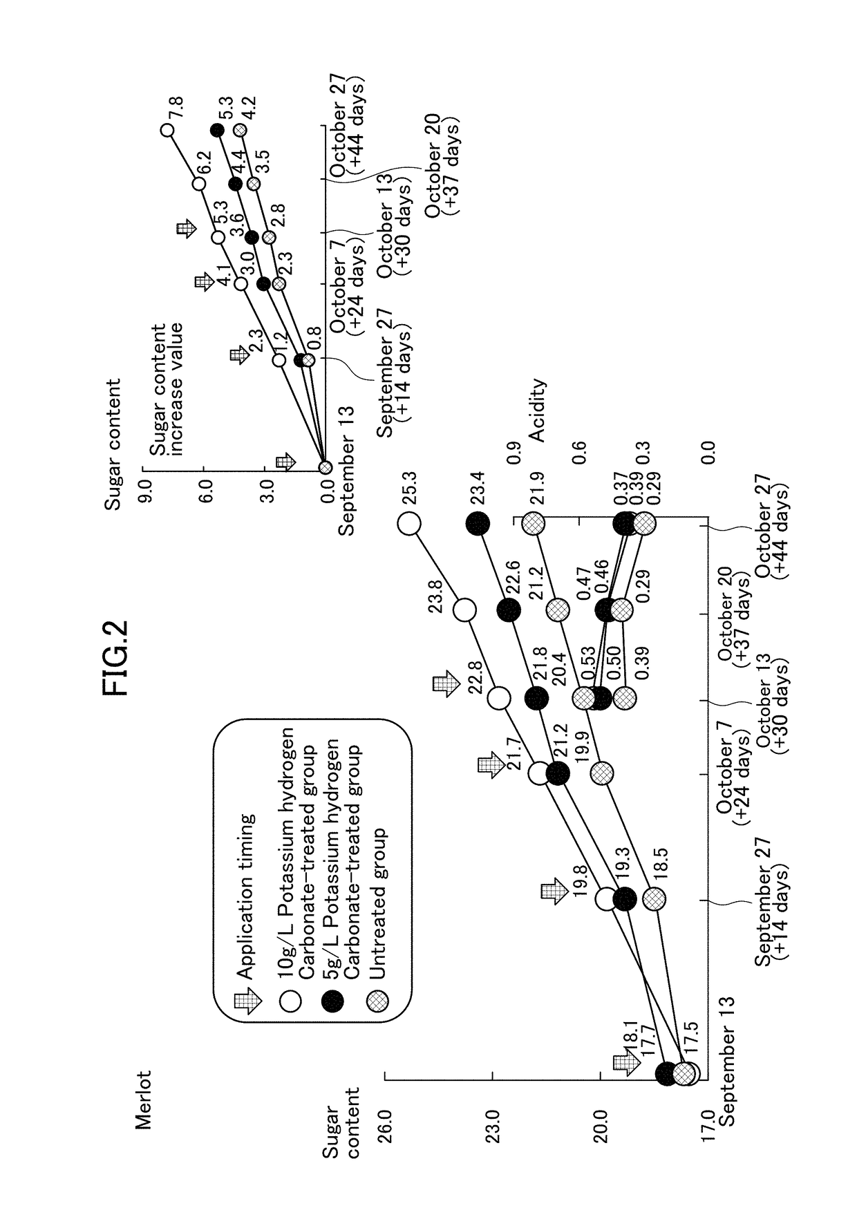 Agent for increasing sugar content in fruit