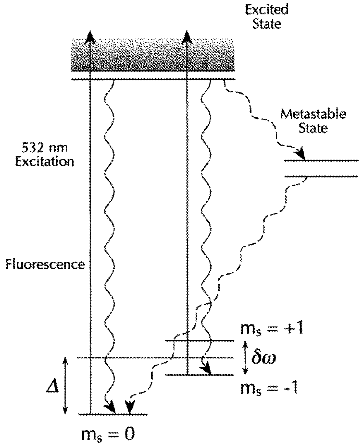 Nanoscale scanning sensors