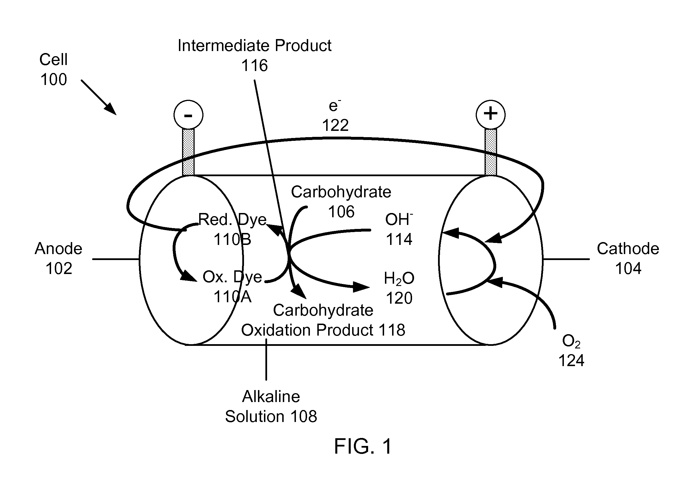 Systems and methods for carbohydrate detection