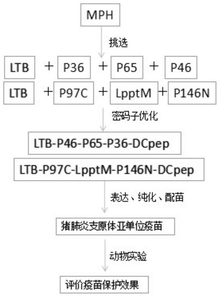 Mycoplasma hyopneumoniae subunit vaccine and its preparation method and application