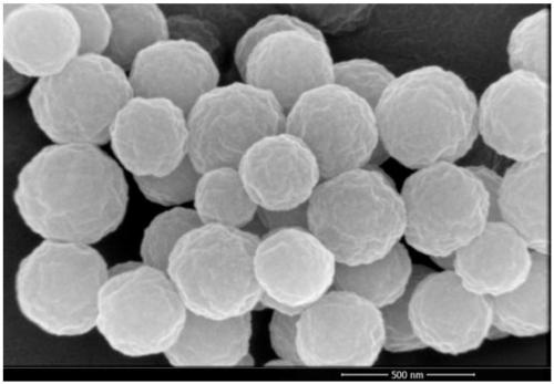 Triazole molecularly imprinted polymeric microspheres and preparation method and application thereof