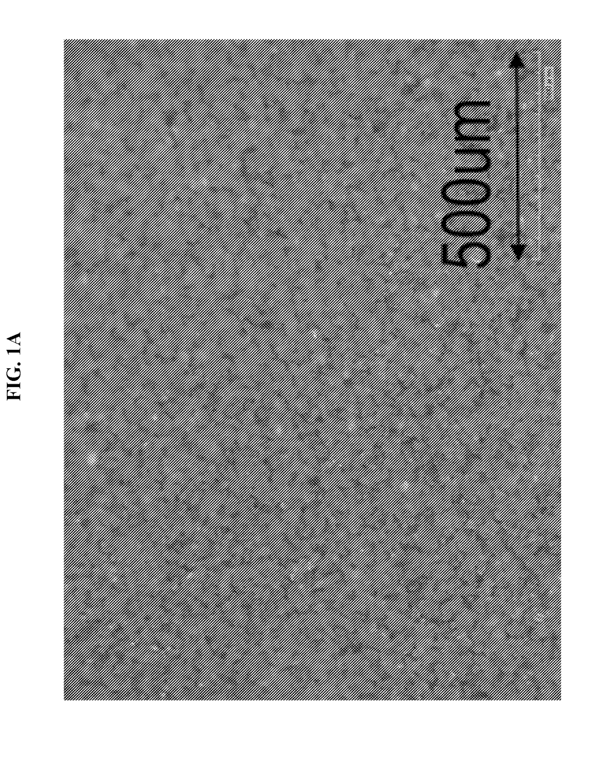 Formulations and methods for 3D printing of ceramic matrix composites