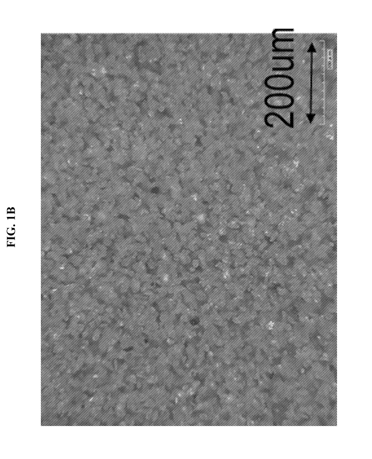 Formulations and methods for 3D printing of ceramic matrix composites