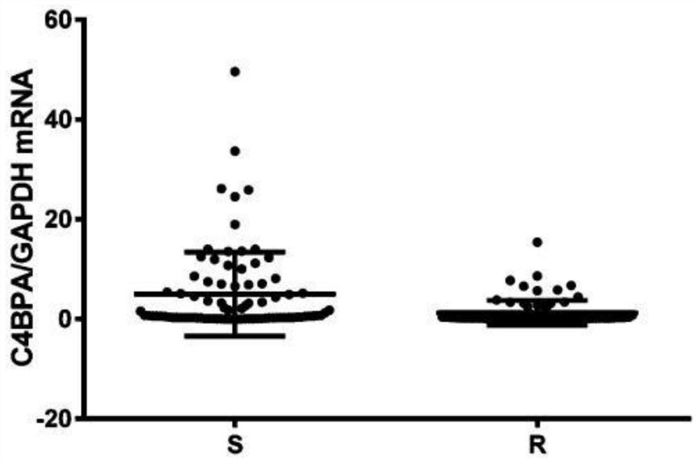 Specific primer pair, reagent and kit for detecting a gene C4BPA mRNA in human peripheral blood leukocytes, and applications of specific primer pair, reagent and kit