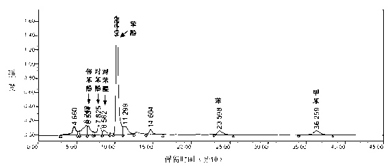 Functionalized carbon nitride photocatalyst capable of performing catalytic oxidization on benzene to synthesize phenol