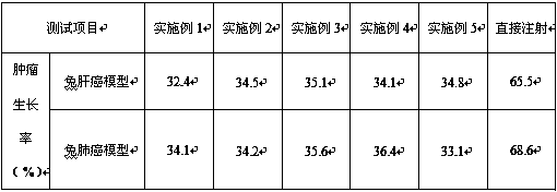 Nano drug for precise targeted tumor treatment and preparation method thereof