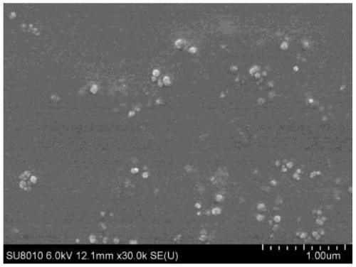 Toxoplasma gondii nano-material subunit vaccine as well as preparation method and application thereof