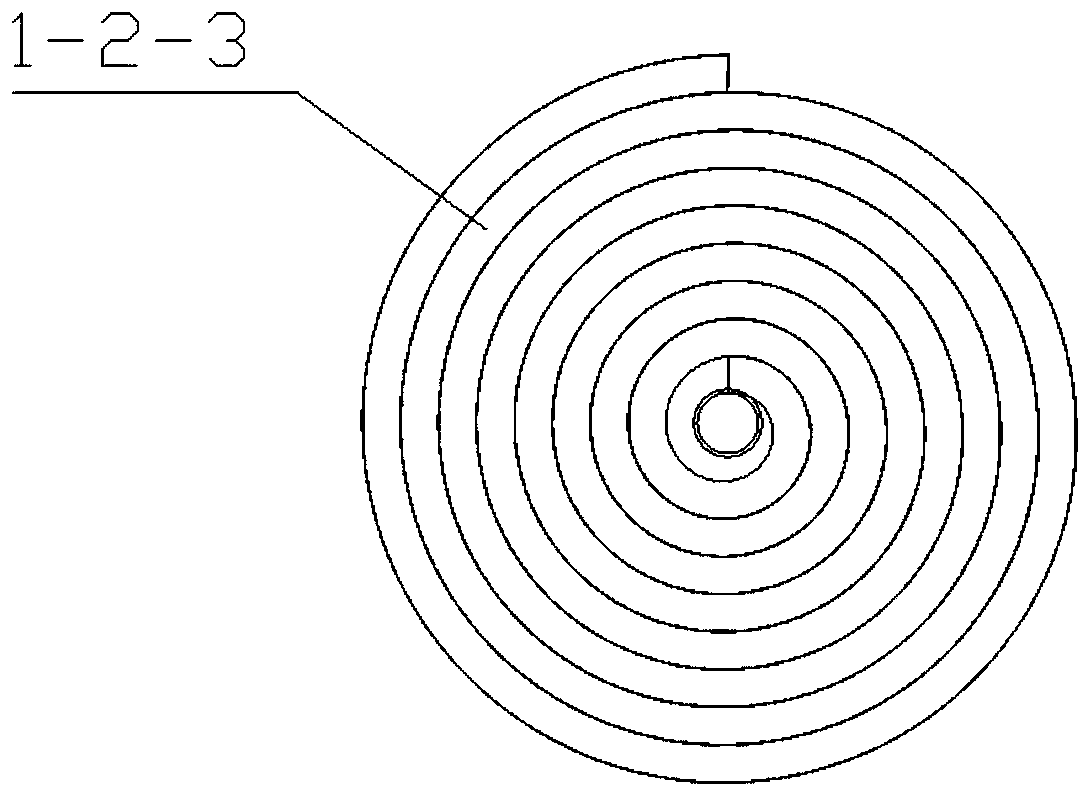 Auxiliary seedling belt and transplanting device for garlic planting