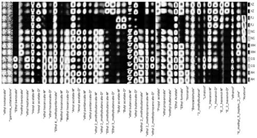 GC-IMS pear production place distinguishing method based on aromatic substance fingerprint spectrum