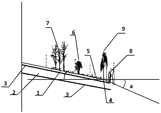 A method of constructing a near-natural ecological slope bank