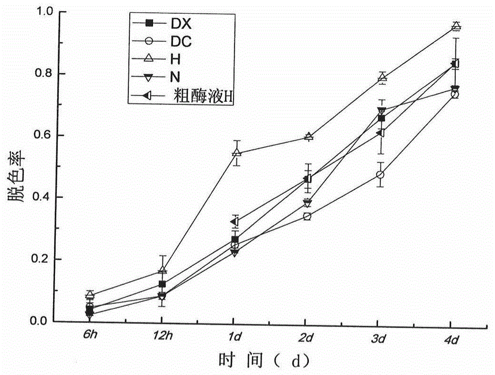 Separation and optimization method and application of laccase-producing fungus strain