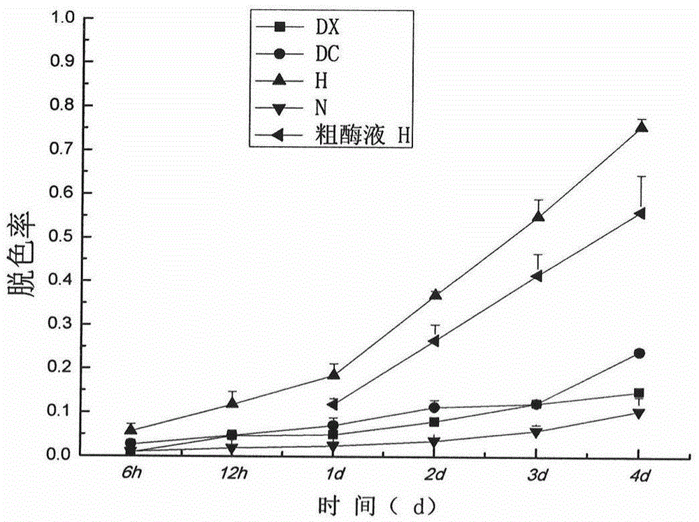 Separation and optimization method and application of laccase-producing fungus strain