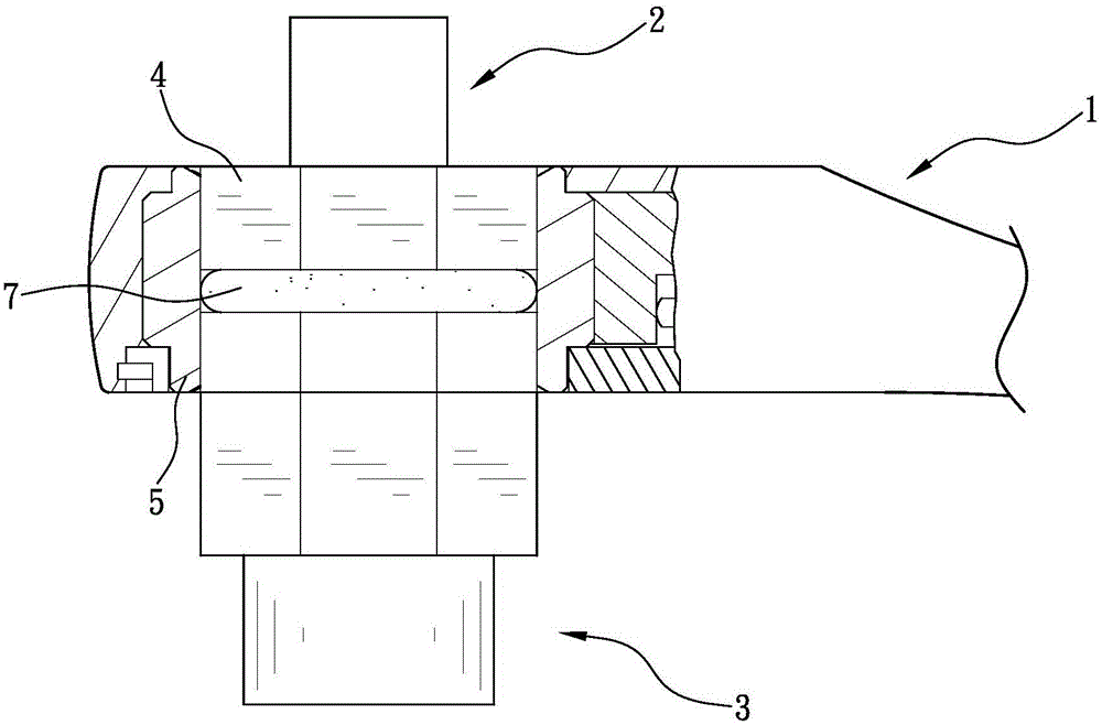 Combined wrench and socket device structure