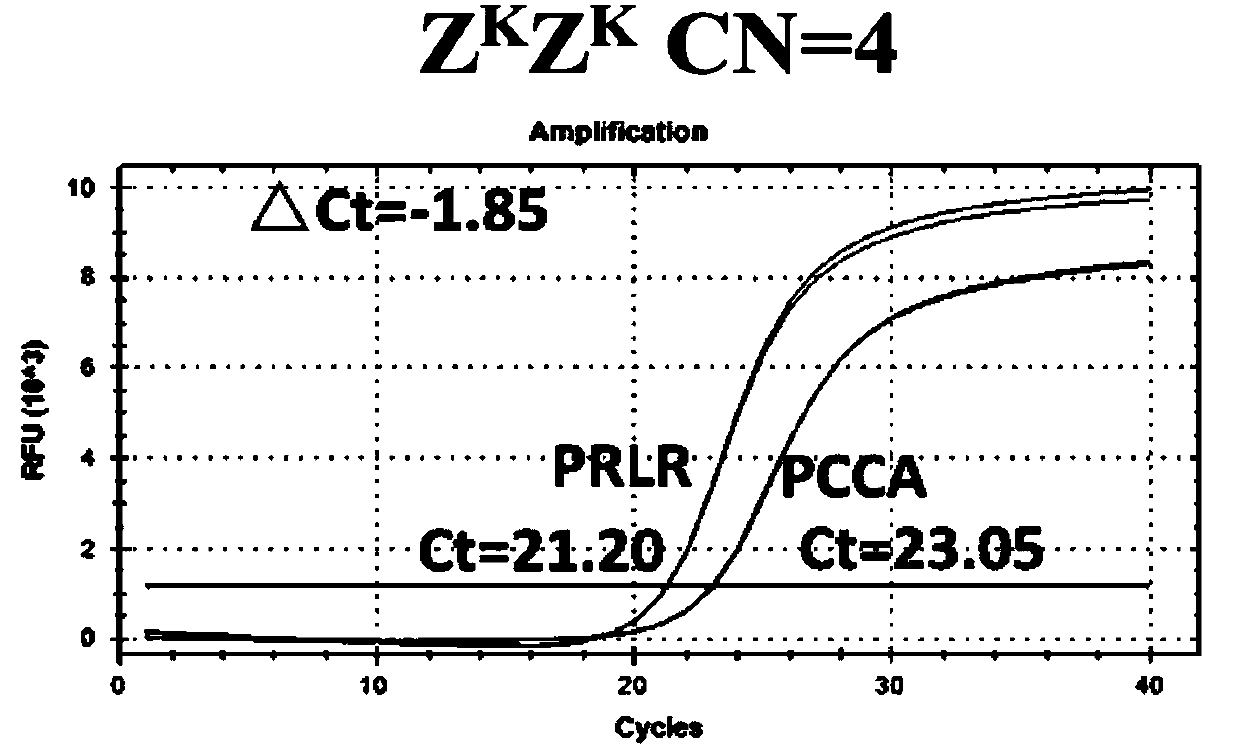 Novel application for PRLR gene and method thereof