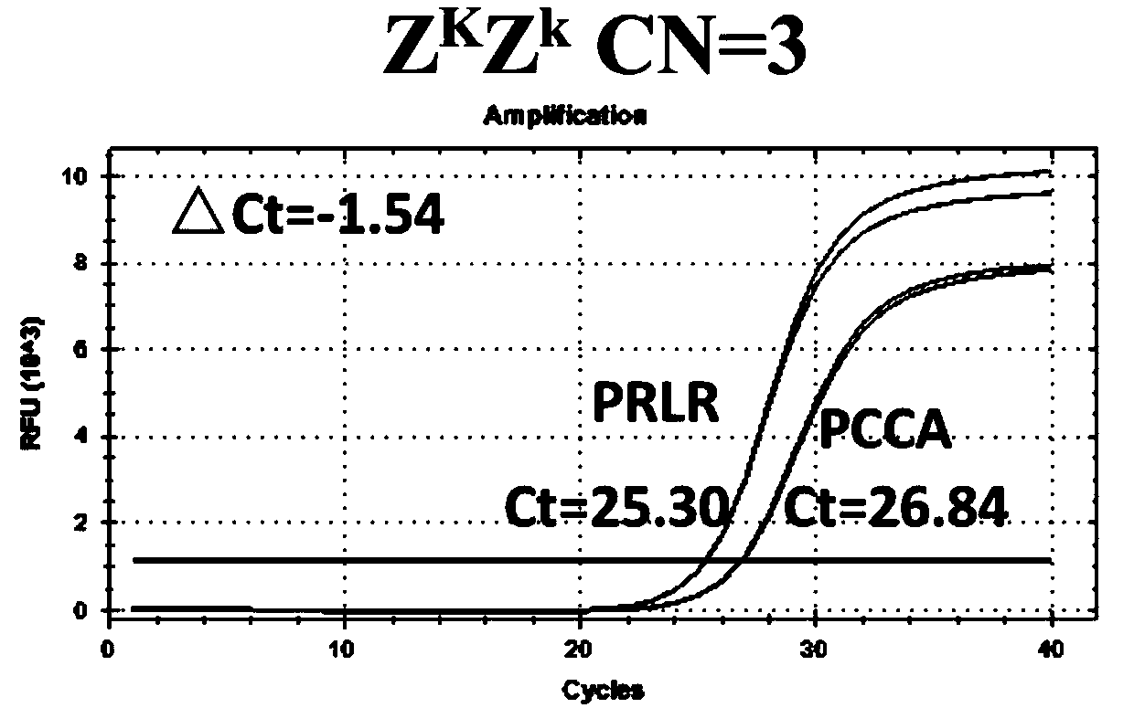 Novel application for PRLR gene and method thereof