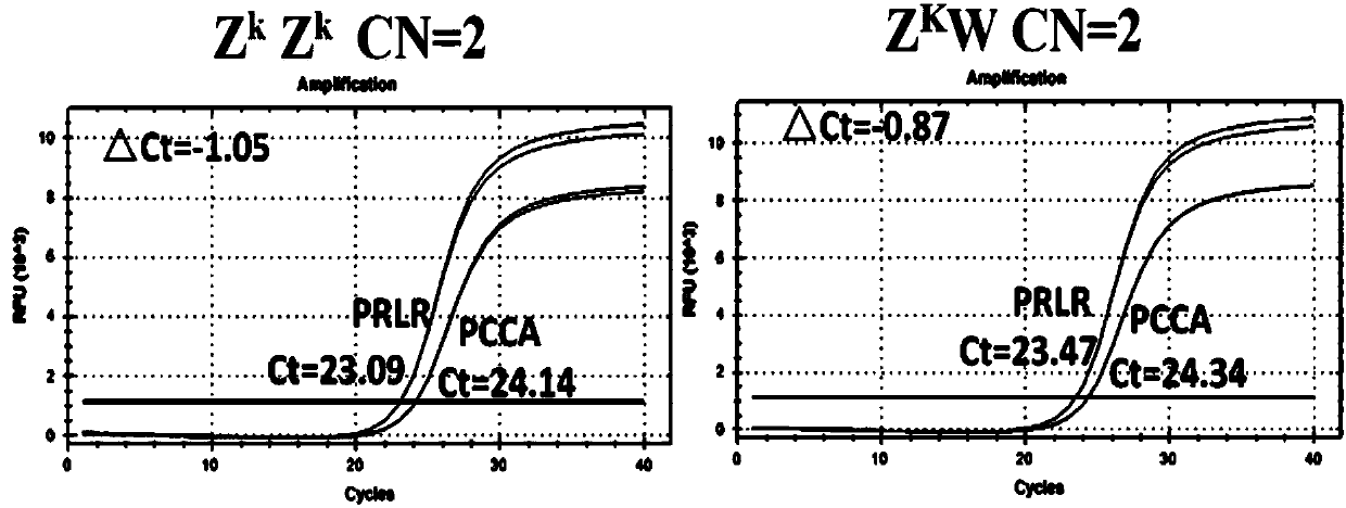 Novel application for PRLR gene and method thereof