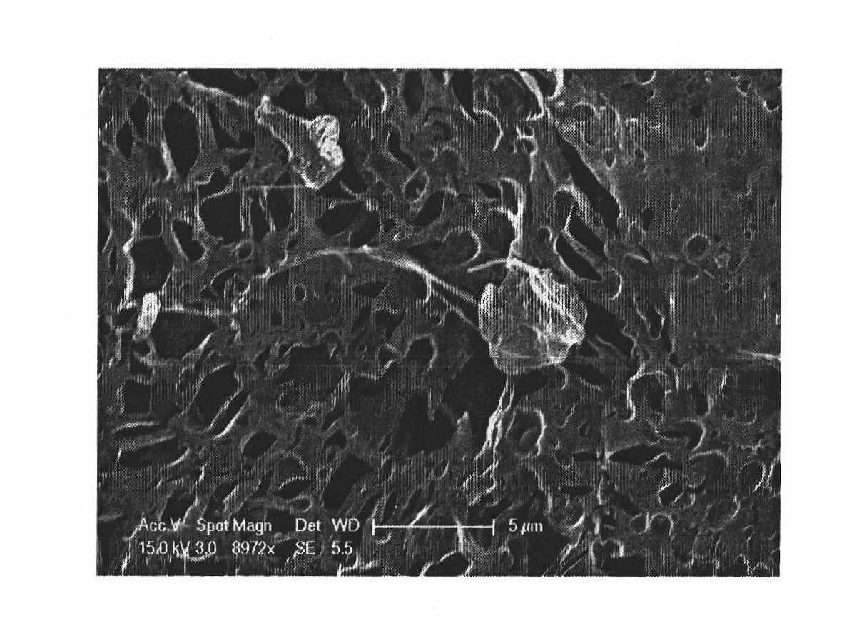 Graphene-polyaniline composite material and preparation method thereof