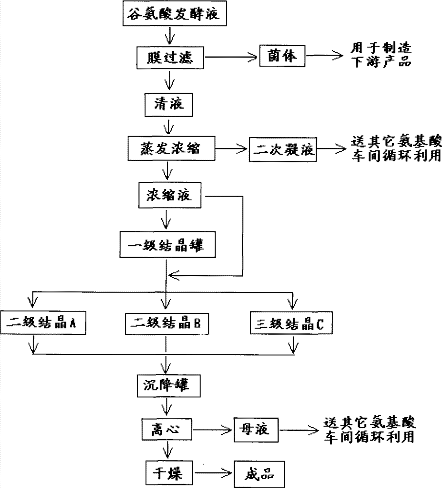 Process for preparing glutamic acid crystallization