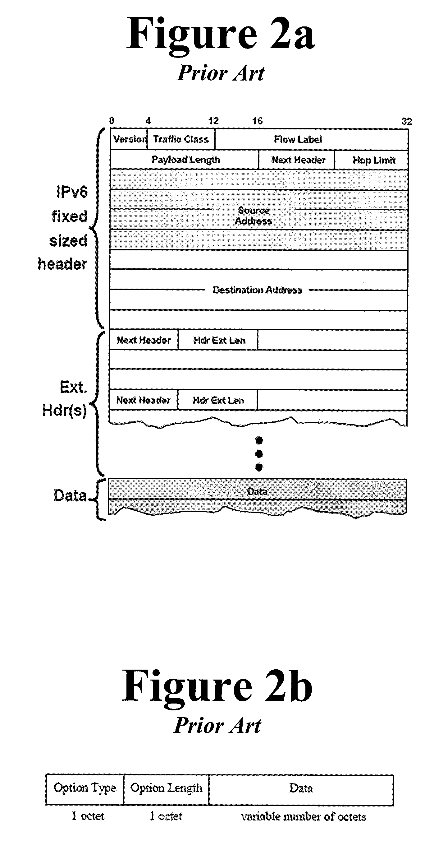 EFFICIENT PERFORMANCE MONITORING USING IPv6 CAPABILITIES